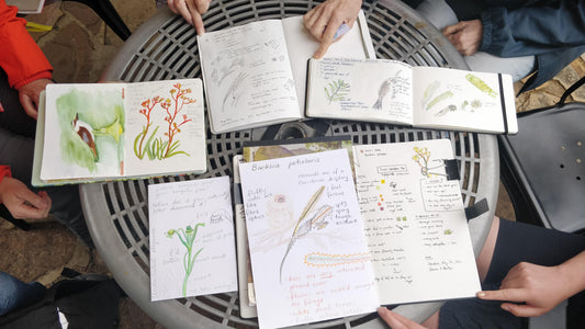 The Perth Nature Journaling Club - by Kim Lapere